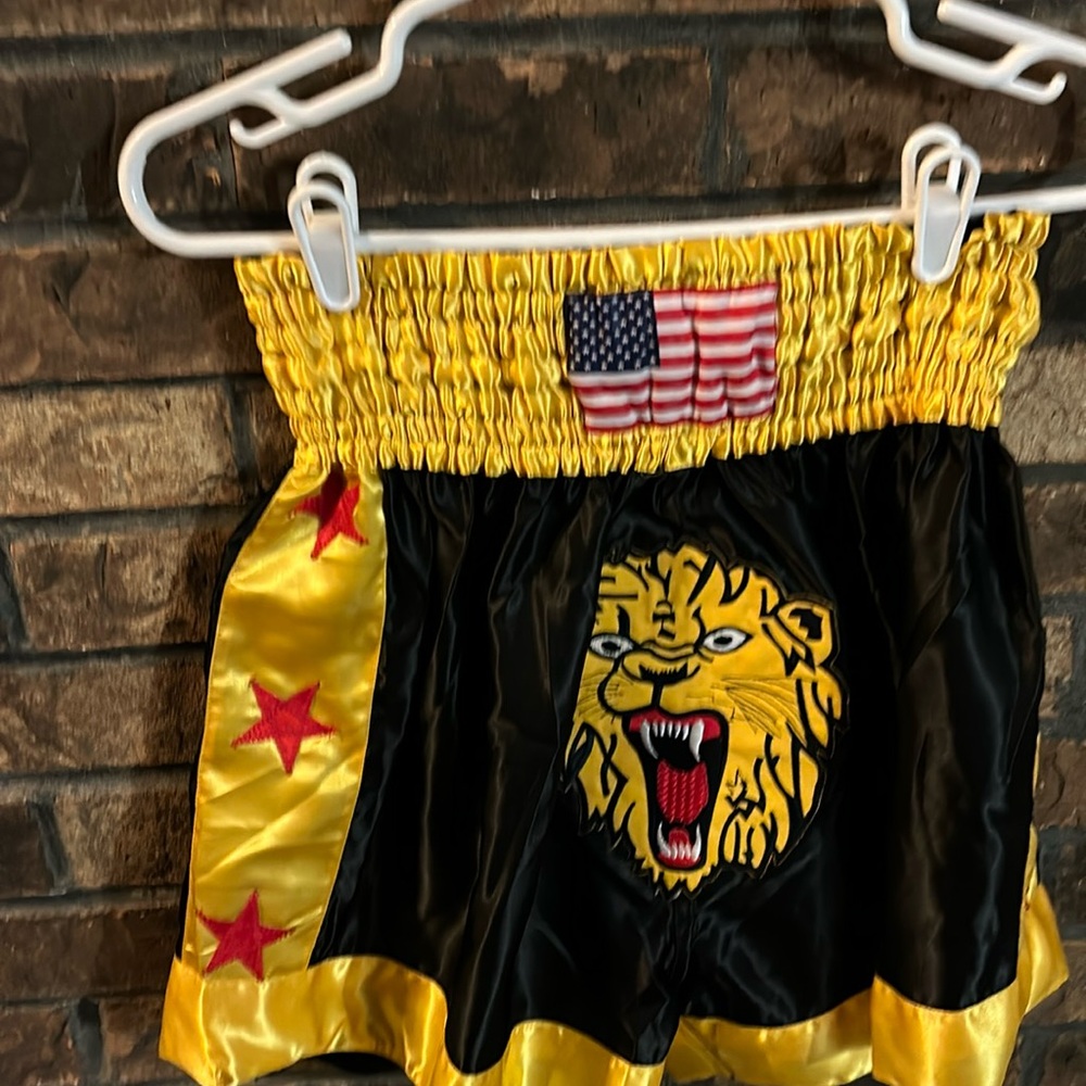 USA tiger